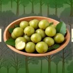 Amla Benefits In Hindi