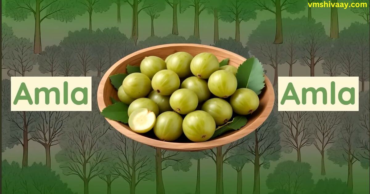 Amla Benefits In Hindi