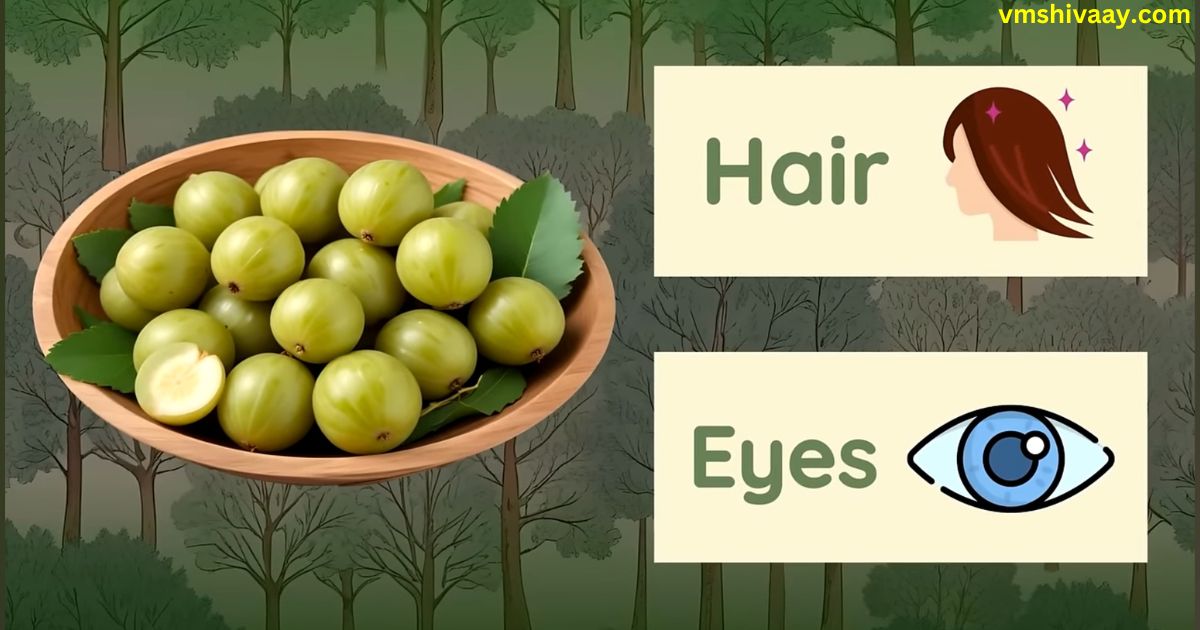 Amla Benefits In Hindi