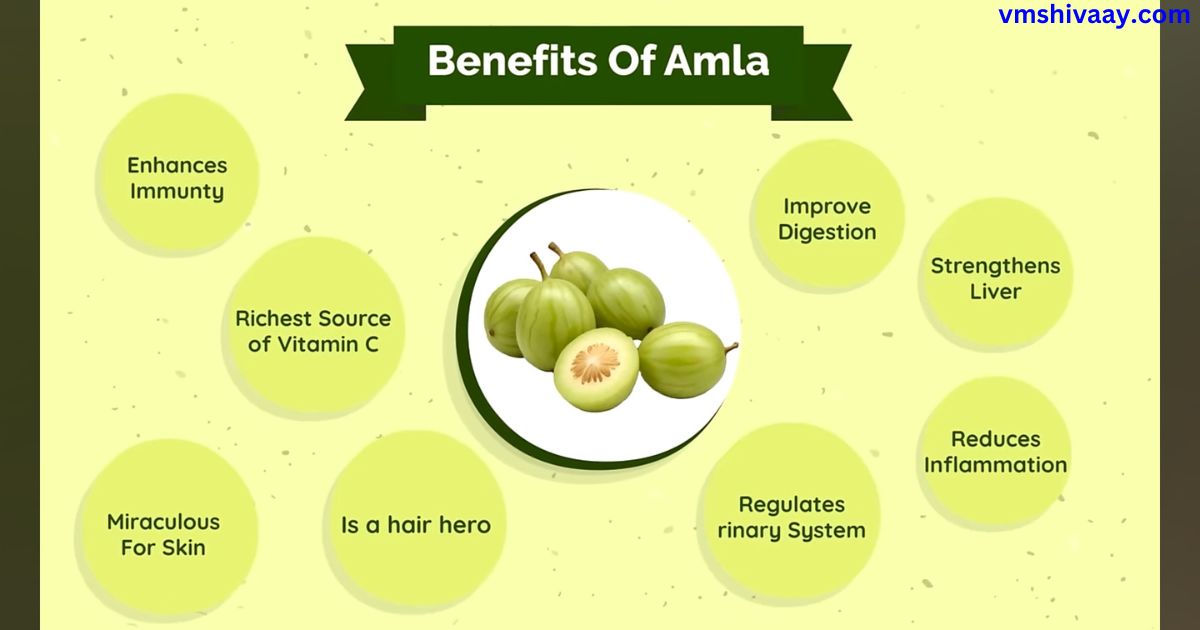 Amla Benefits In Hindi