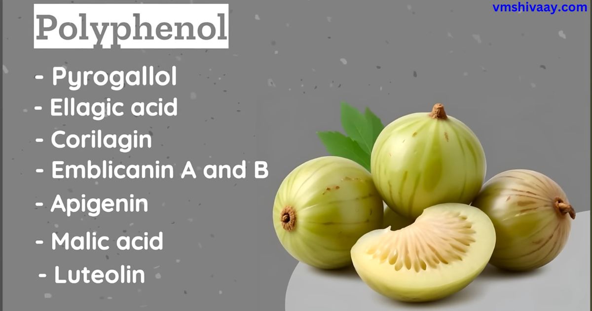 Amla Benefits In Hindi